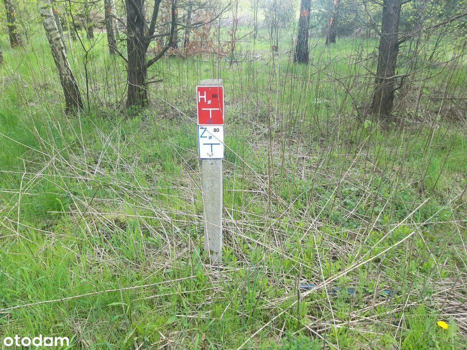 działka budowlana - prąd, gaz, woda w drodze Gminnej przed działką - Widok 3
