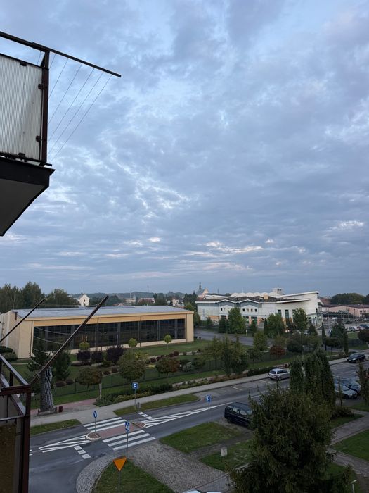 Zdjęcie 8