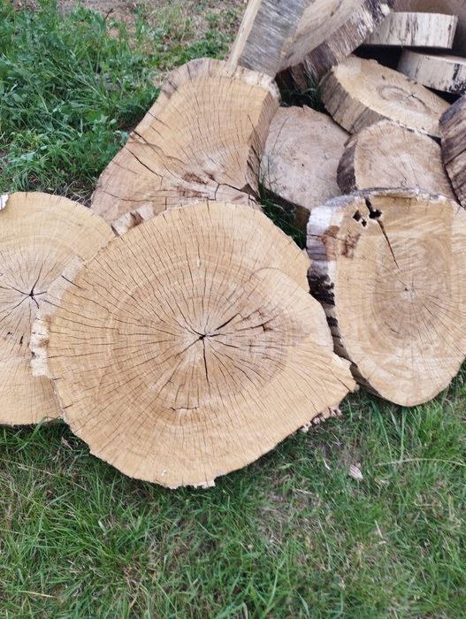 Sprzedam plastry dębowe