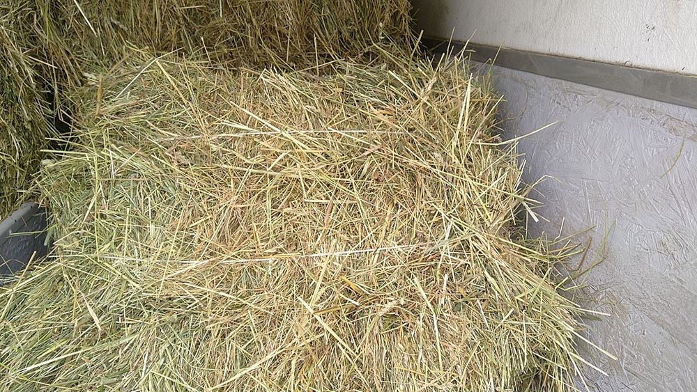 Słoma Siano mała kostka