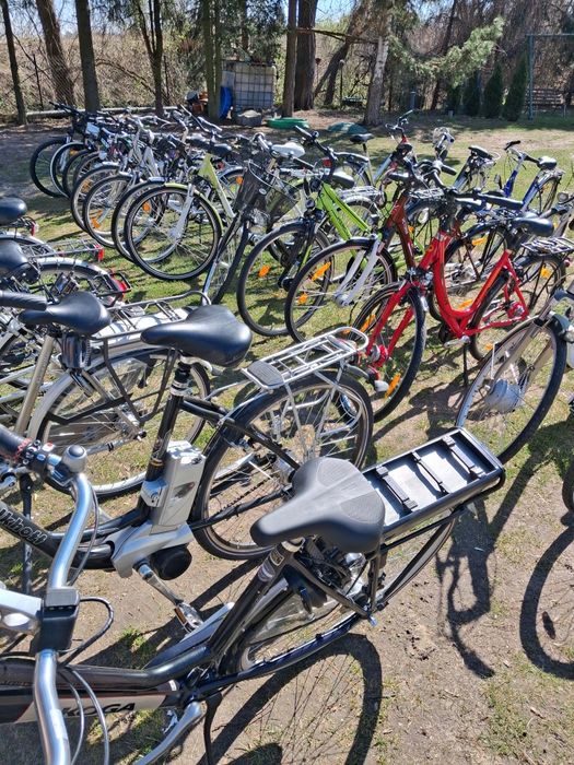 Rower pegasus winora gazelle