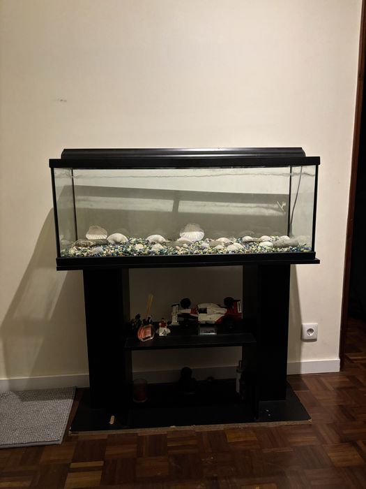 Aquário grande e completo em otimo estado