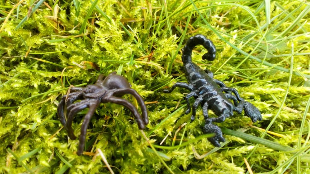 Skorpion i Pająk marki Schleich