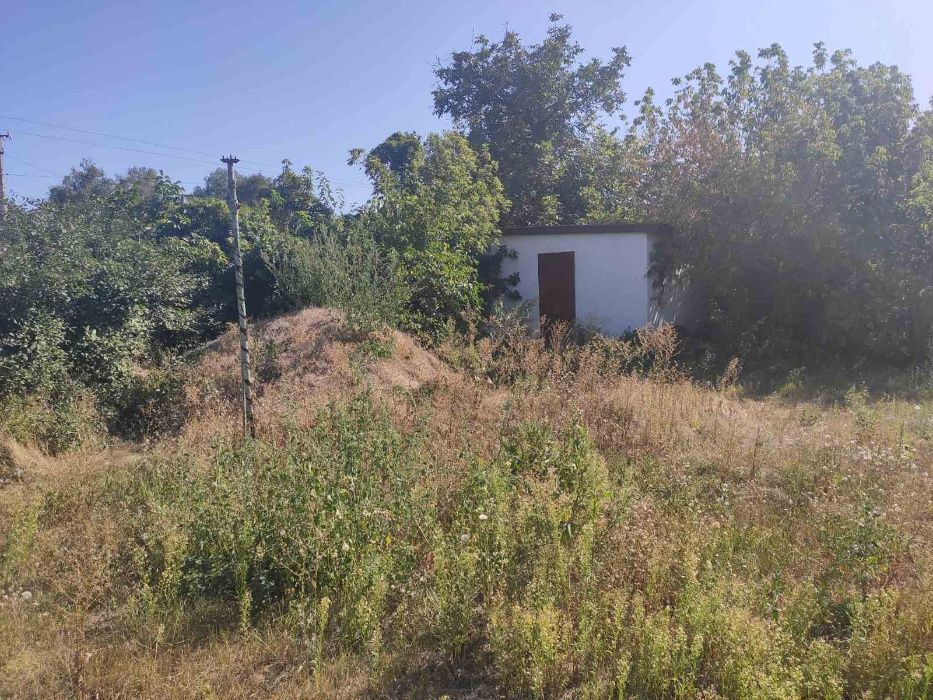 Продається господарство в центрі Котельва