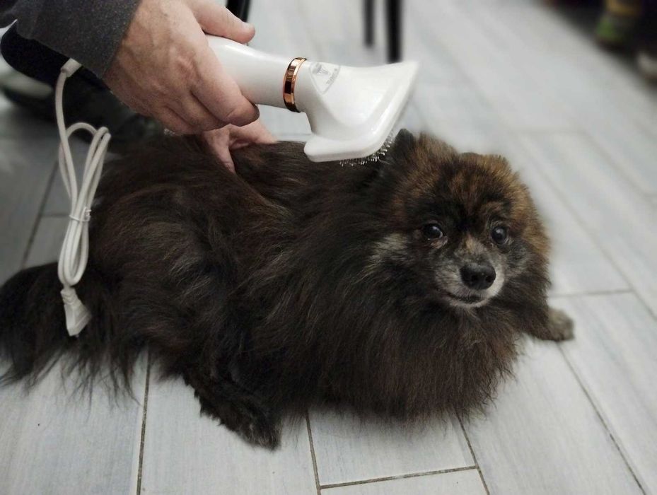 Заменит услуги грумера - Фен щетка, расческа для шерсти ваших любимцев