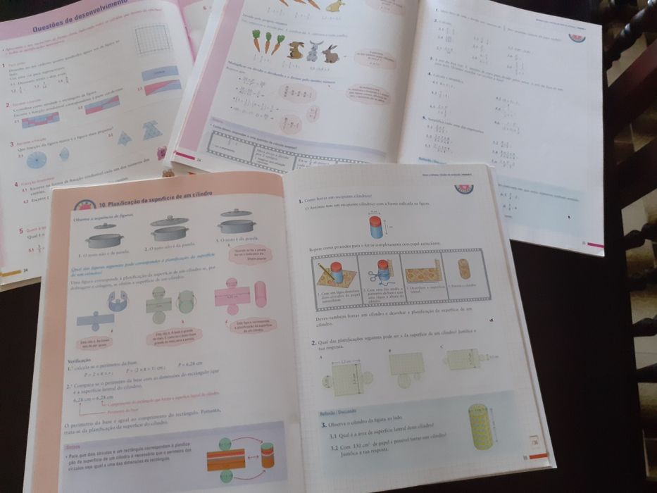 Manual e Caderno de atividades Matemática 6ºano