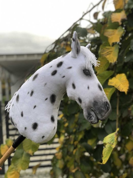 Tarantowy hobby horse