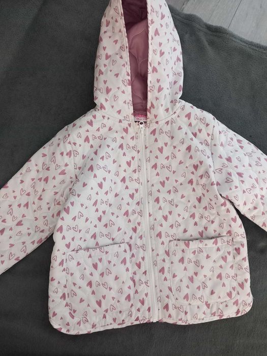 Kurteczka wiosna jesień