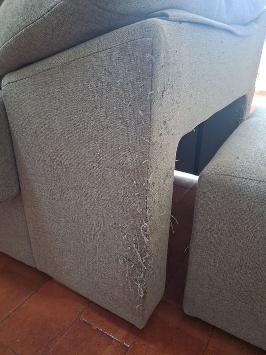 Sofa cinzento usado