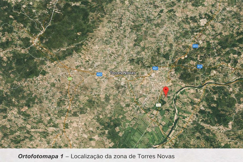 Terreno Rústico em Torres Novas - Oportunidade Única