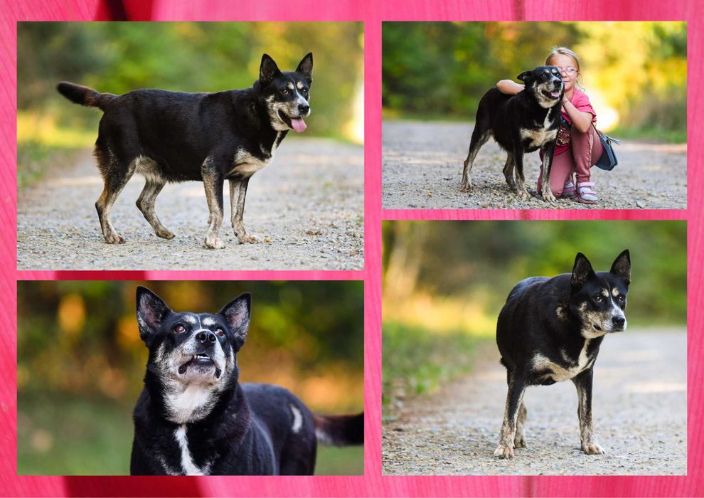 ANOE - marzy o nowym domu i rodzinie