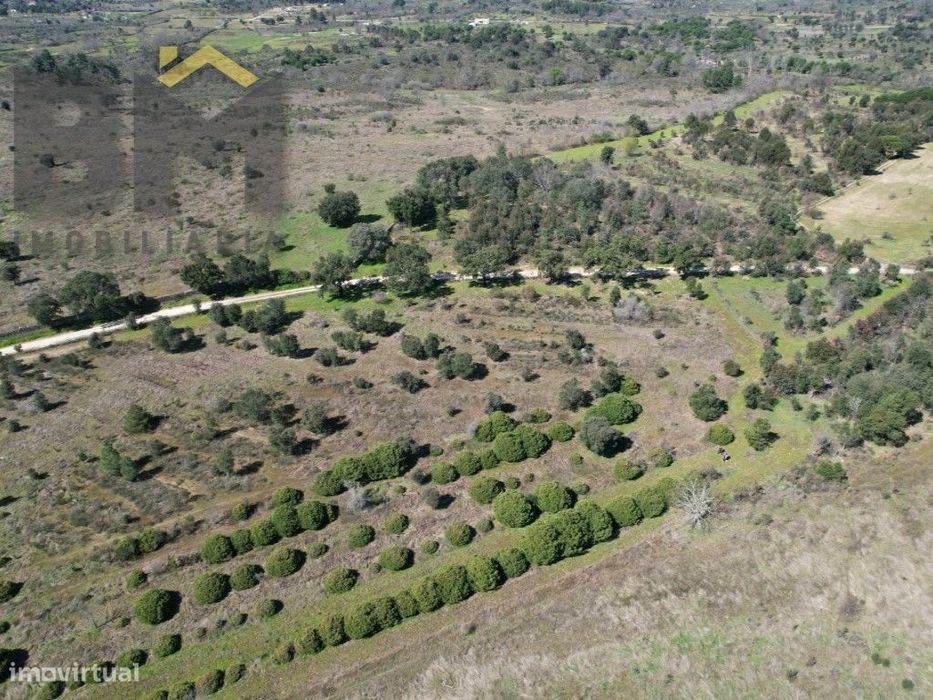 Terreno de 5,3 Hectares na Aldeia de Águas - Penamacor