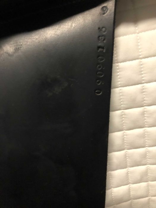 Sela County Perfection para ensino/dressage