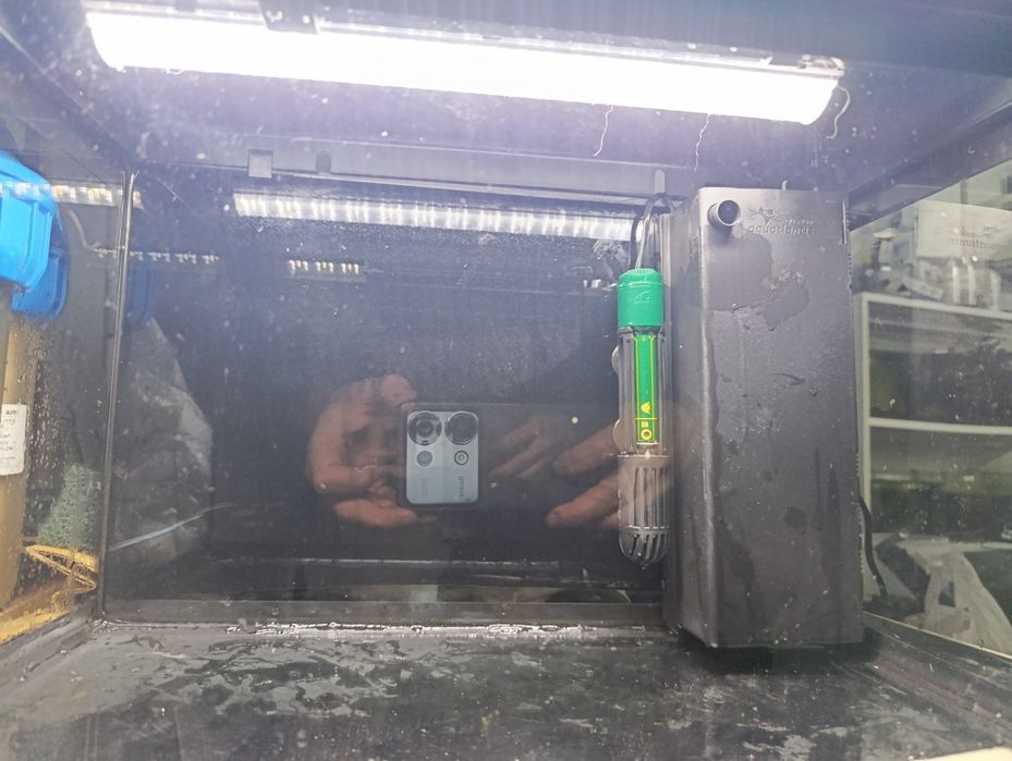 Aquário AquAtlantis