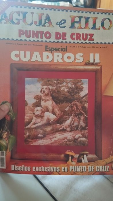 Revistas de ponto cruz