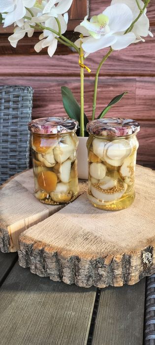 Grzyby marynowane rydze prawdziwki