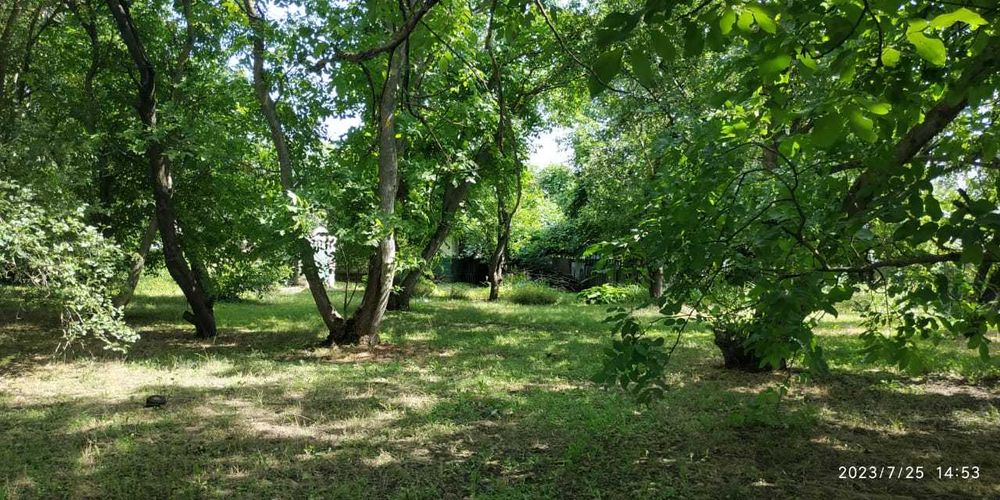 Продаж Будинку в селі Синяківщина Полтавська область