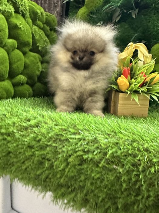 Крошка на долошку,посочка