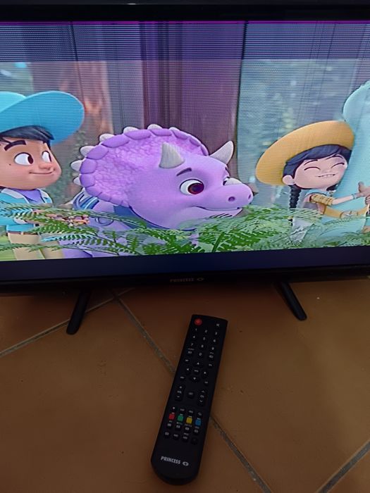 Televisão princess 24  polegadas - pequena avaria na imagem
