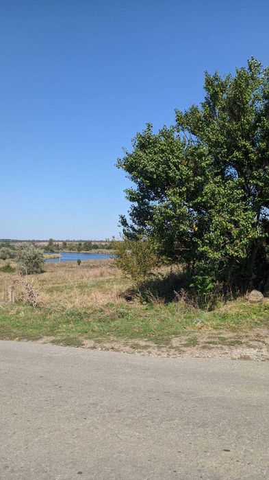 Продам дом в селе Криничное, ,40 соток земли. Или обмен на квартиру.