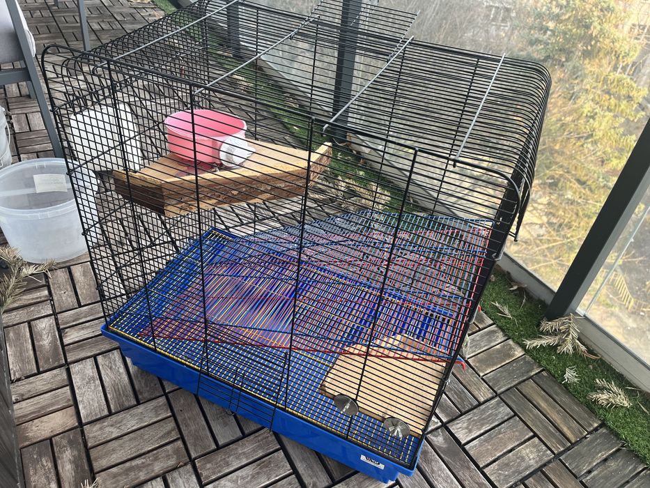 Klatka dla gryzoni, szczurow, koszatniczek 60cm x 37cm x 64cm