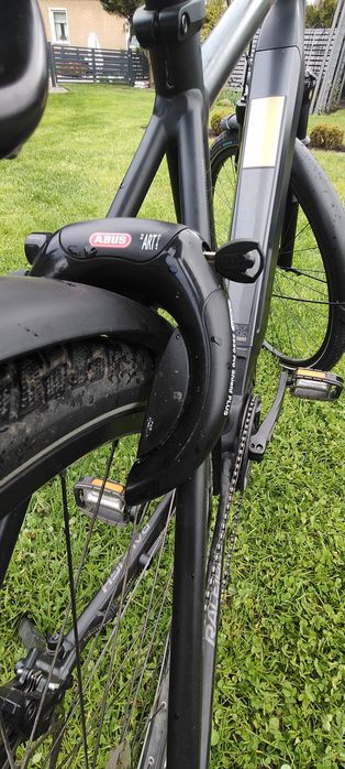 Rower elektryczny męski Raleigh Preston 10 Diamant 53(28)