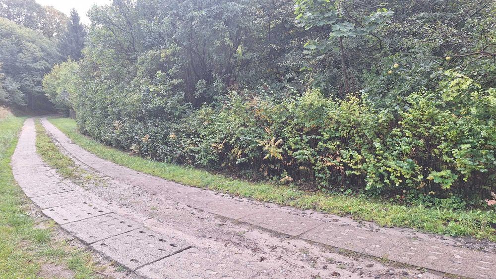 Sprzedam działkę budowlaną w Zagórzu, przy lesie, blisko jeziora