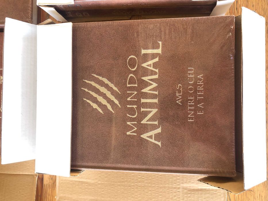 Coleção Livros Mundo Animal Novos