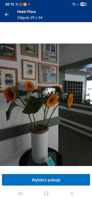 Pokoje do wynajęcia