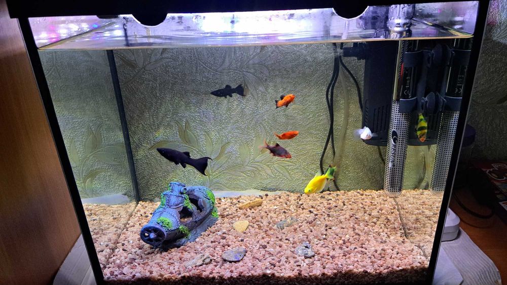 Акваріум 40літрів