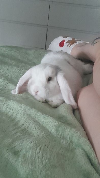 REZERWACJA Mała Baby szuka nowego domu