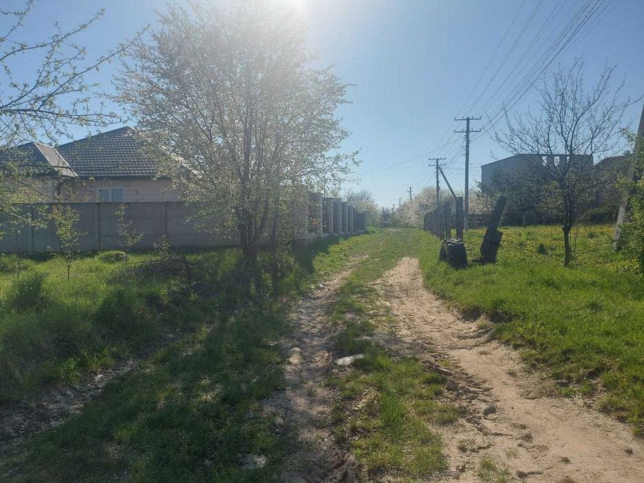 Ділянка 10 соток в Скоморохах (26111032)