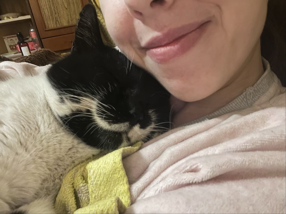Котик шукає родину