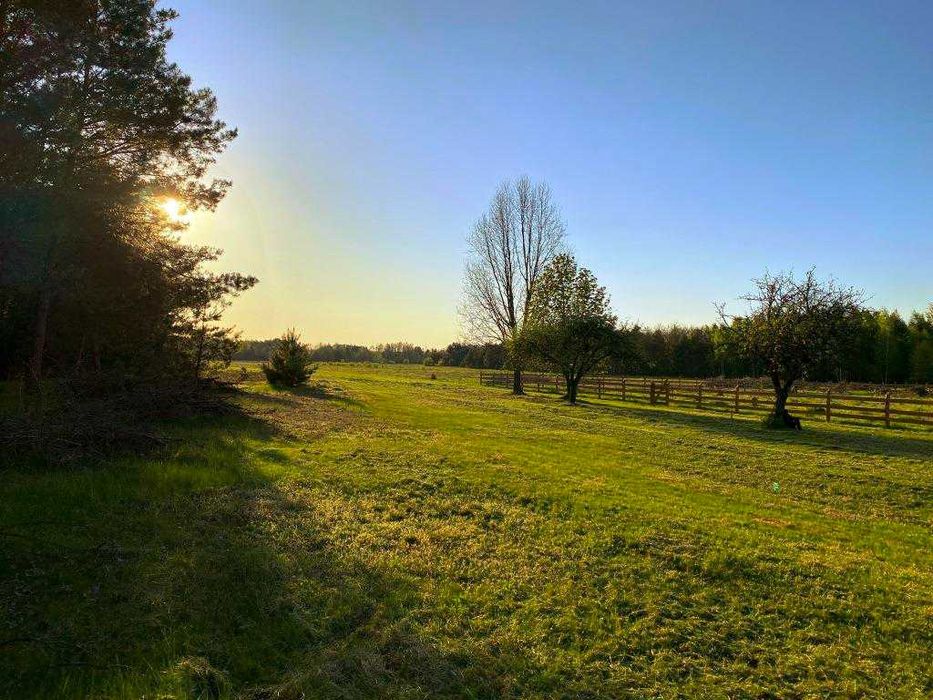 Działka rekreacyjno-budowlana, 1000 m2, Puszcza Stromiecka