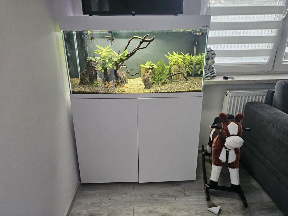 Akwarium 200l optiset 2.0 z osprzętem i życiem
