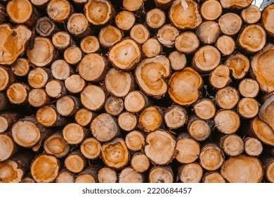 Lenha seca Mistura Eucalipto ou Carvalho entrega ao domicílio