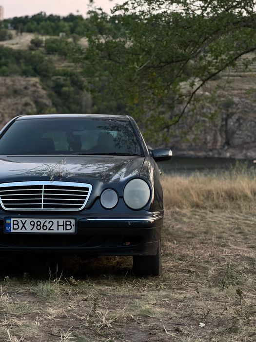 Продам живий  w210