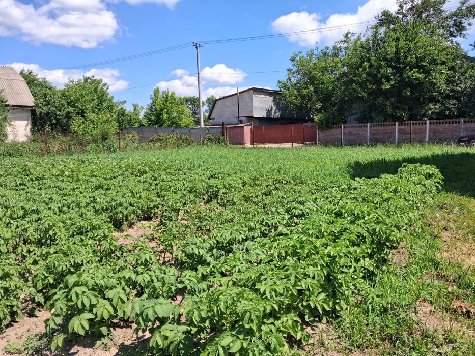 Продаж будинку  в Новому Білоусі .