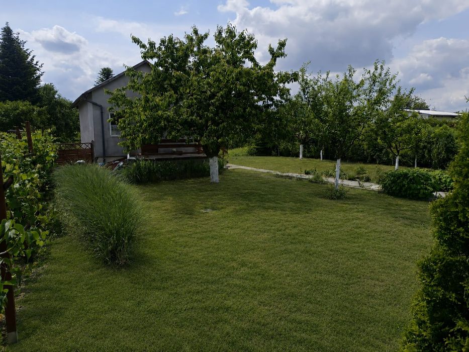 Działka rekreacyjna 5 arów ROD Relaks Kulów - Widok 2