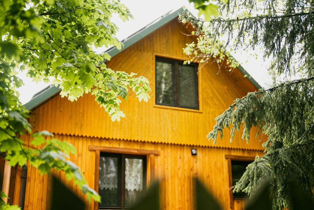 Zacisze leśne Julianka