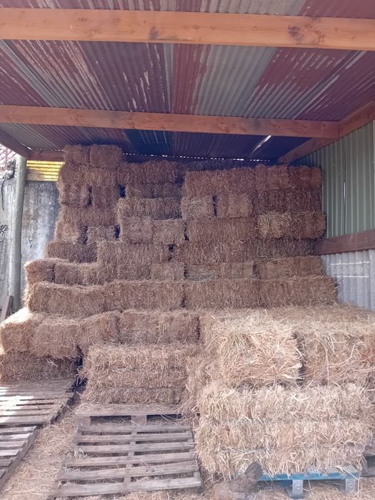 Vendo fardos de feno