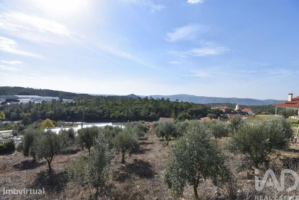 Terreno para construção em São Miguel, Santa Eufémia e Rabaçal