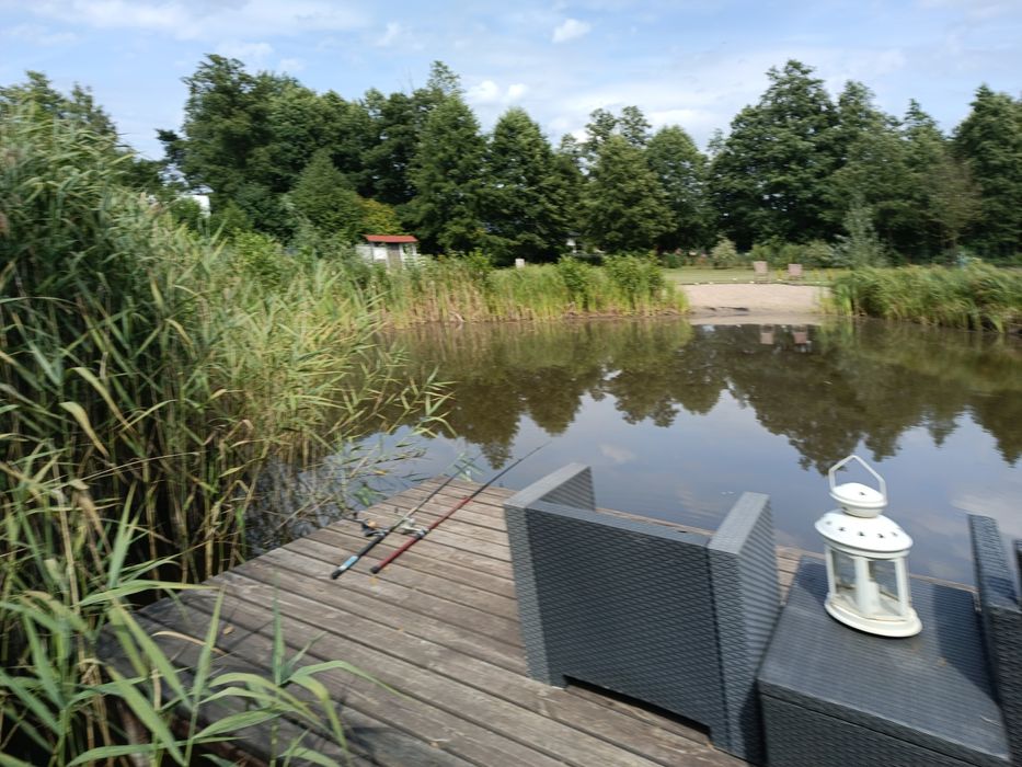 Całoroczne domki letniskowe na wynajem