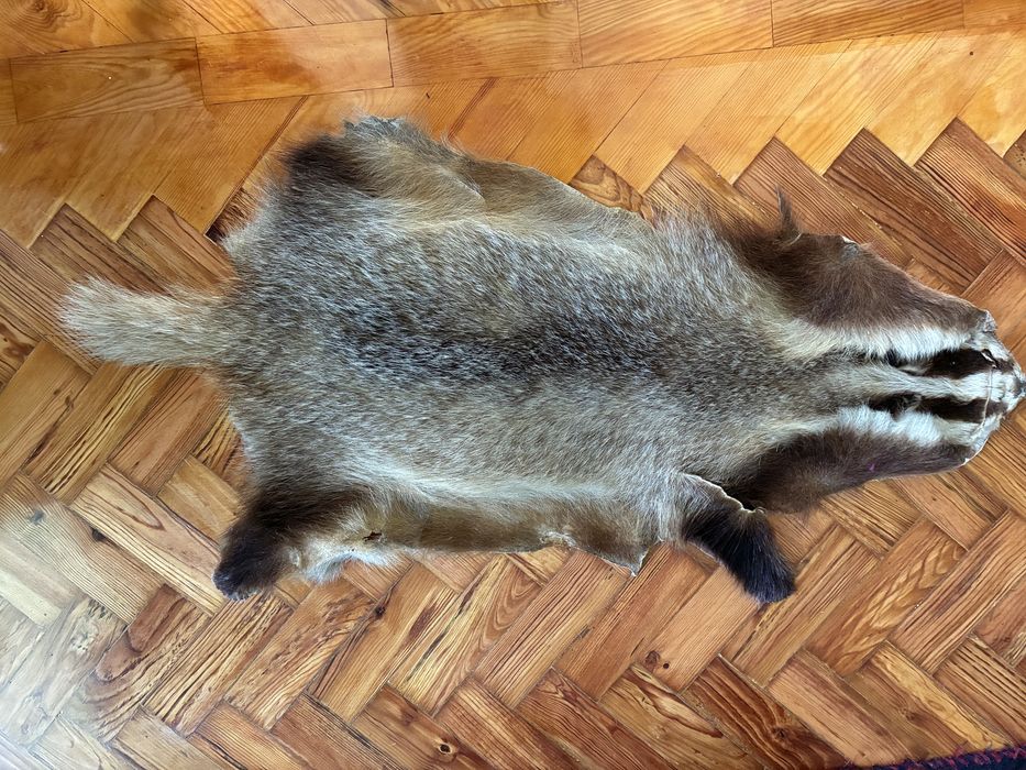Pele de Texugo Verdadeiro