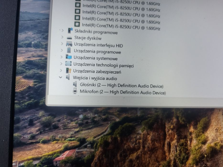 Acer Nitro 5 an515-31