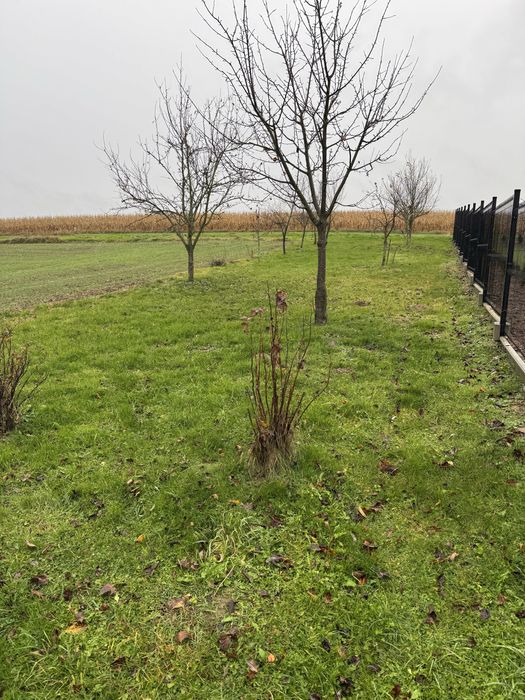 Dzialka rolna  35 arow