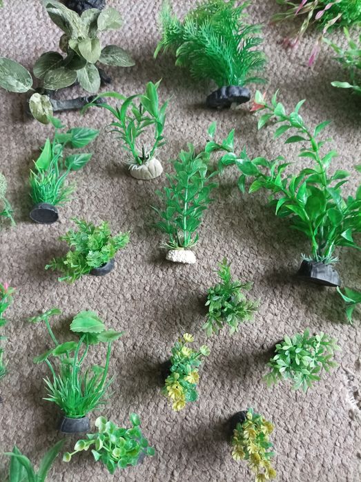 Sztuczne rośliny do akwarium