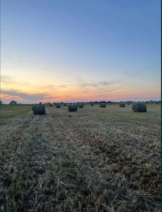 Sprzedam siano łąkowe duża ilość