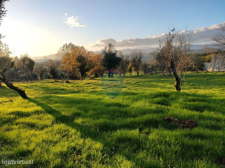 Terreno Para Construção  Venda em Silgueiros,Viseu