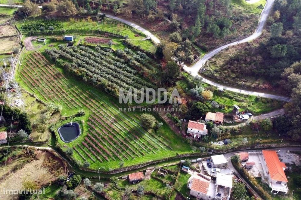 Cultive o seu futuro no coração de Cinfães – Viseu